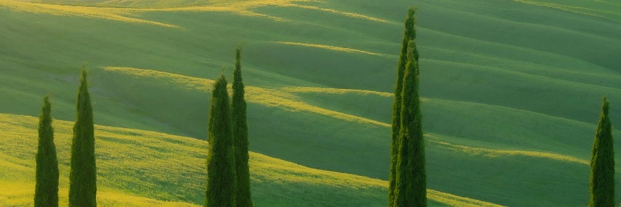 Welcome to Wangziyue.com