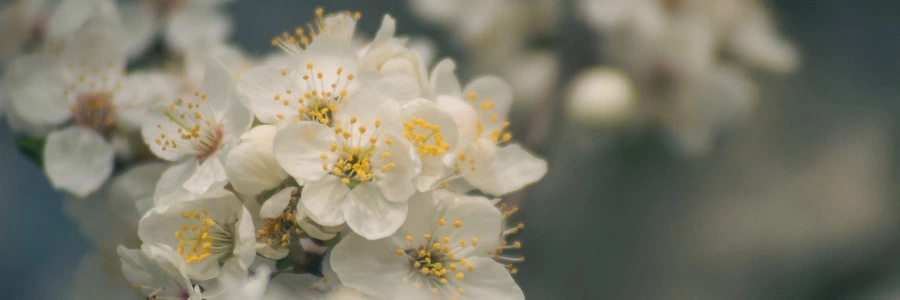 Welcome to Wangziyue.com