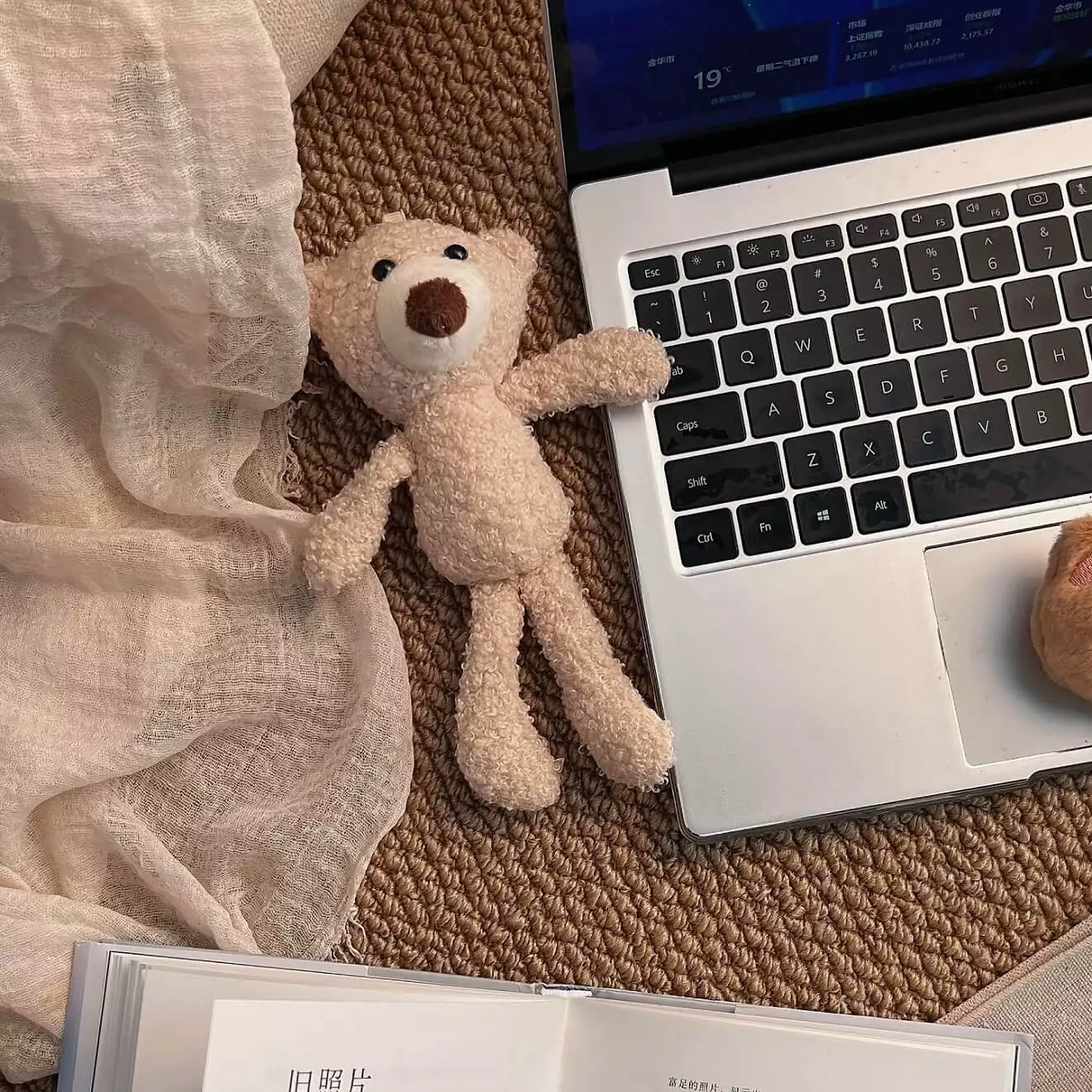 再不调控就疯啦